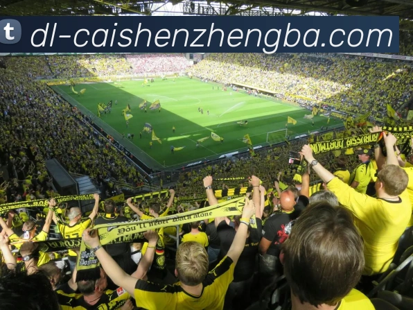 彩神争霸APP 体育赛事宣传图